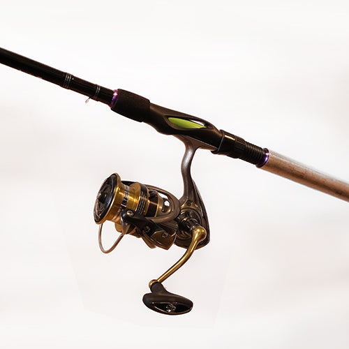 Daiwa Prorex Aggrest Gäddset