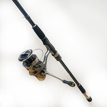 Daiwa Prorex Exceler Gäddset