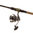 Prorex Exceler Perch Combo