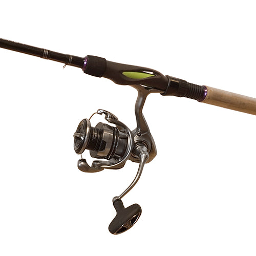 Prorex Exceler Perch Combo