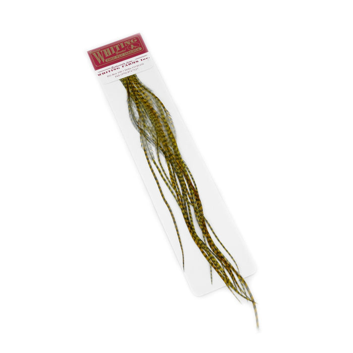 Whiting - 100 Fly Pk Hackle - Högkvalitativa Fjädrar - Grizzly Dyed Olive