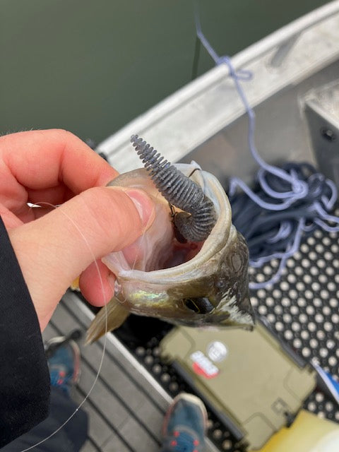 Geecrack - Bellows Stick - 2,8"