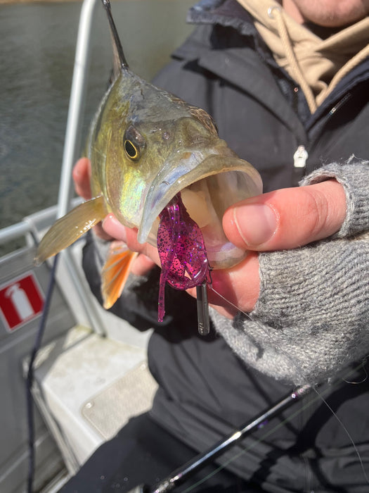 Perch Professor - Fapping Craw - 5cm