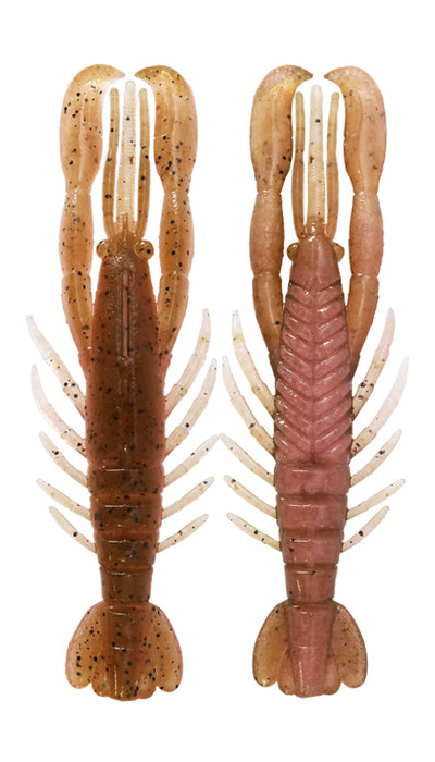 BottomUp - Hurry Shrimp - 3"